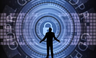 星空体育app下载-中国篮球联赛赛事安全管理优化与执行研究,篮球赛事安全风险