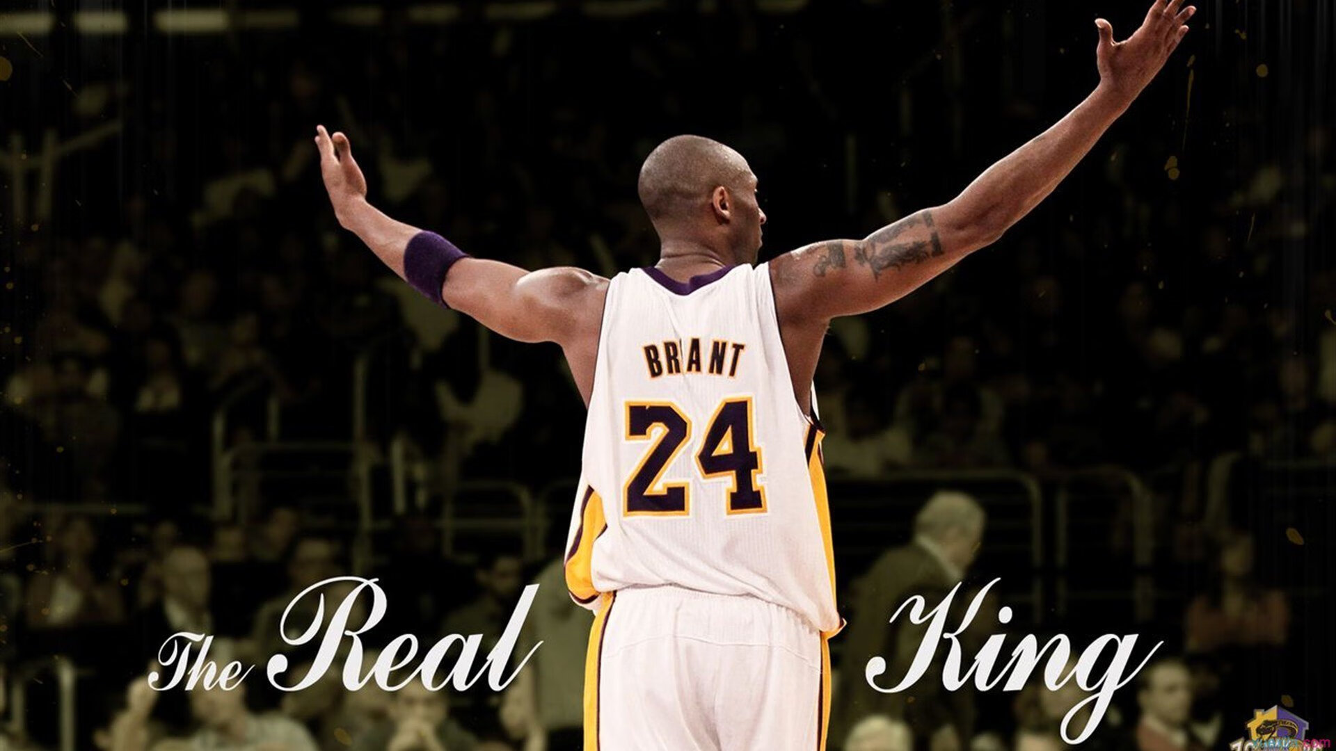 星空app官方下载-运动员运动表现提升计划，如何提升运动员的自我效能