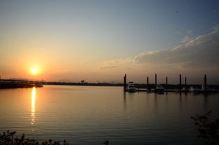 星空体育官网-千帆竞发，轻艇马拉松点亮湖滨赛场，赛艇马拉松多少公里