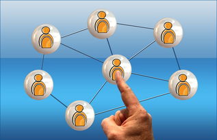 星空体育在线登录-高校电竞联赛冠军诞生 战术与团队缺一不可，高校电竞联盟挑战赛全国总决赛